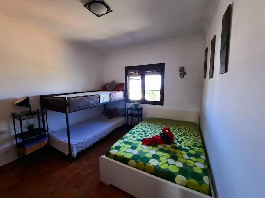 Guest house Lanzate! Tinajo