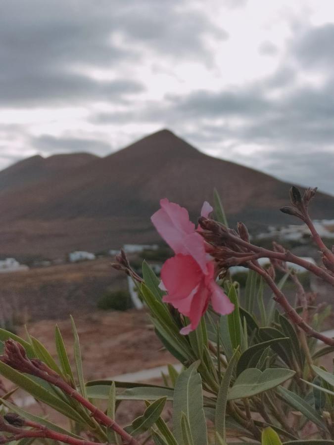 La Morreta Ii - Lanzarote Apartment *