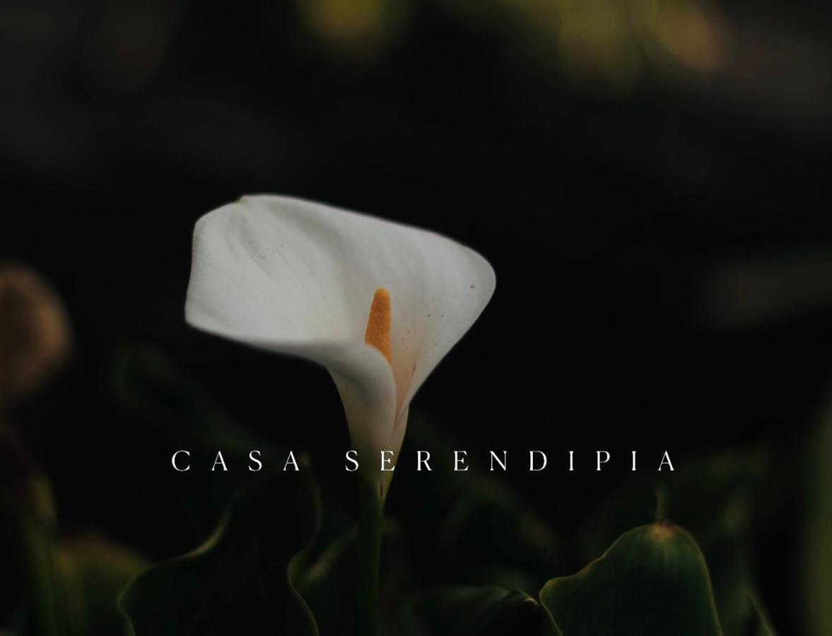 Casa Serendipia Holiday home