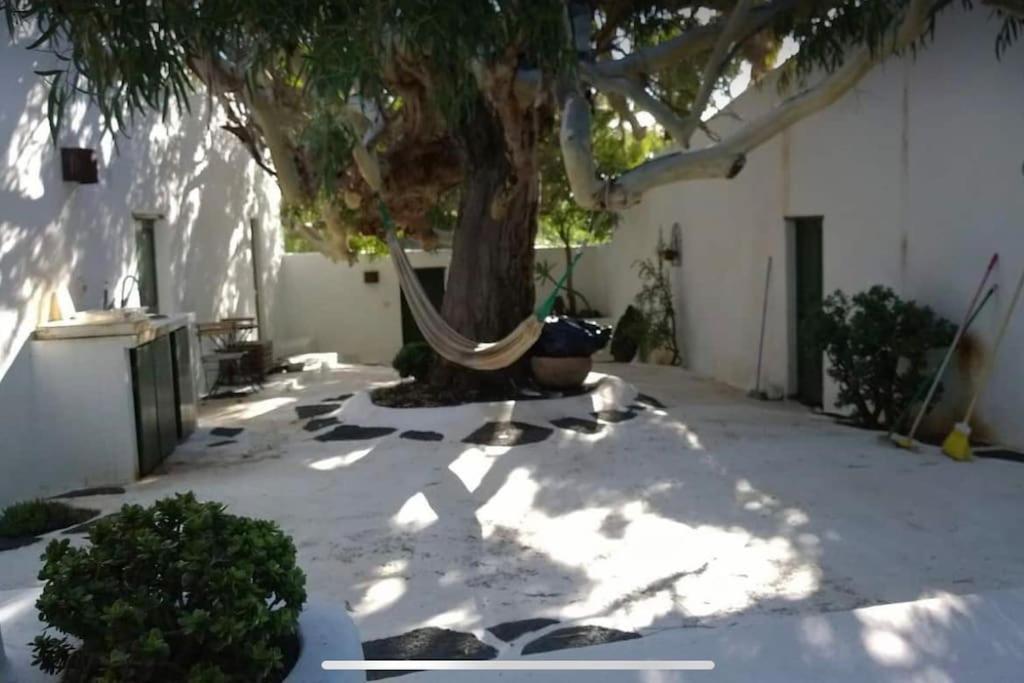 Lovely In Original * La Asomada (Lanzarote)