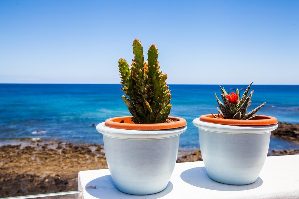 Ocean Apartment Arrieta (Lanzarote)
