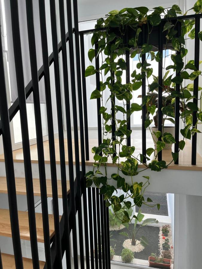 Casa El Timple Сasa de vacaciones *