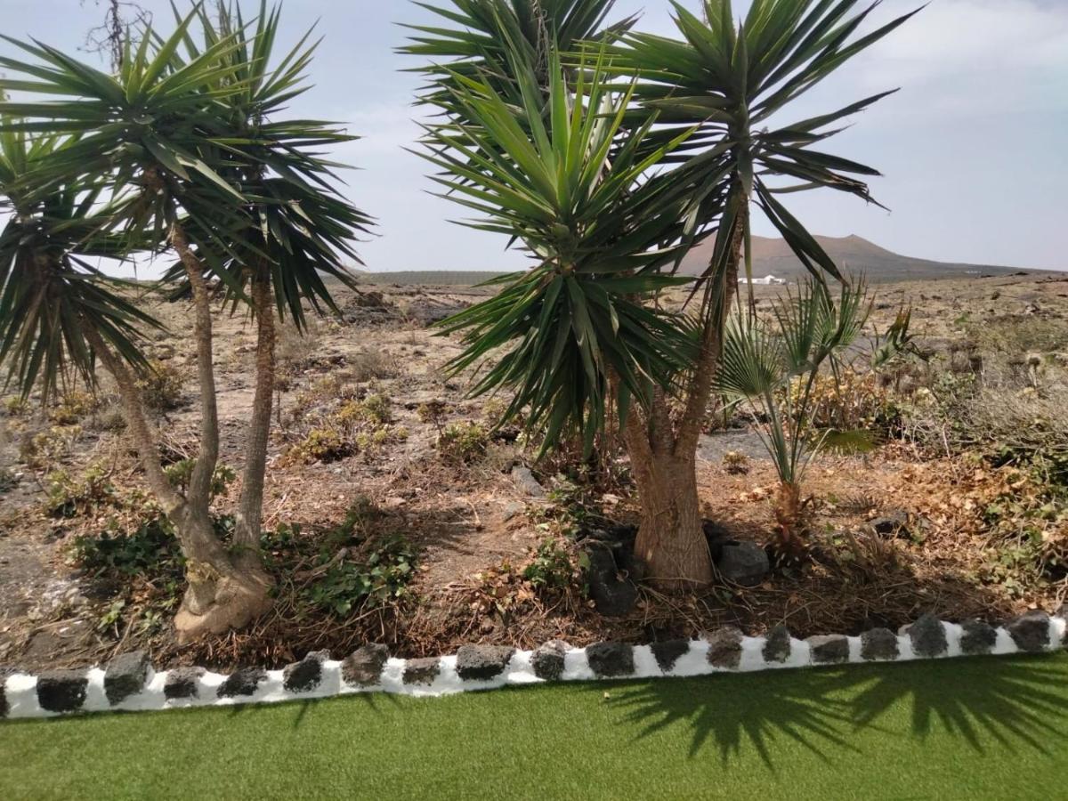 Lanzarote Casa Volcanica-anclada Sobre La Lava Del Volcan Villa Montana Blanca