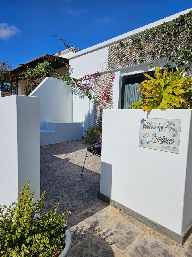 Casa Mirlo * Nazaret