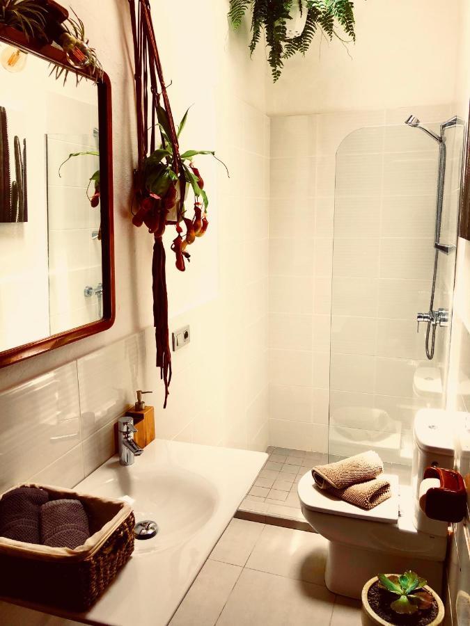 Cuarto Botanico - Shared Pool - Island Location - 10 Mins Drive To Famara And La Santa Tiagua