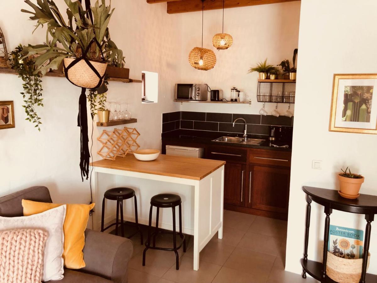 Bodega Botanica - Shared Pool - Island Location - 10 Mins Drive To Famara And La Santa Tiagua