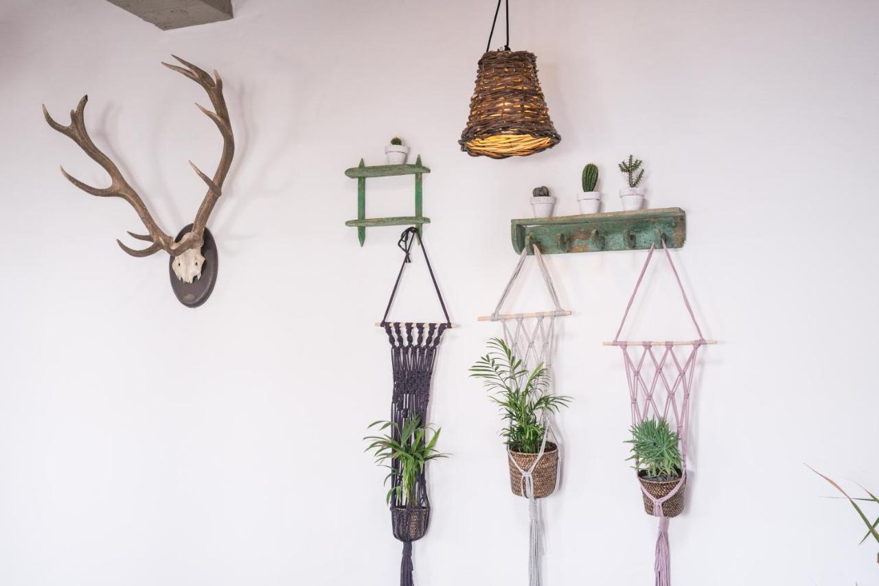 Casa Botanica - Island Location - 10 Mins Drive To Famara And La Santa Apartamento Tao