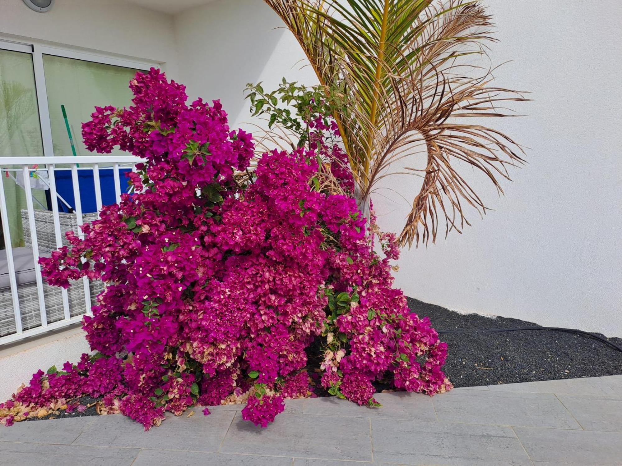 Luxury Sea View Senator Lanzarote Apartamento