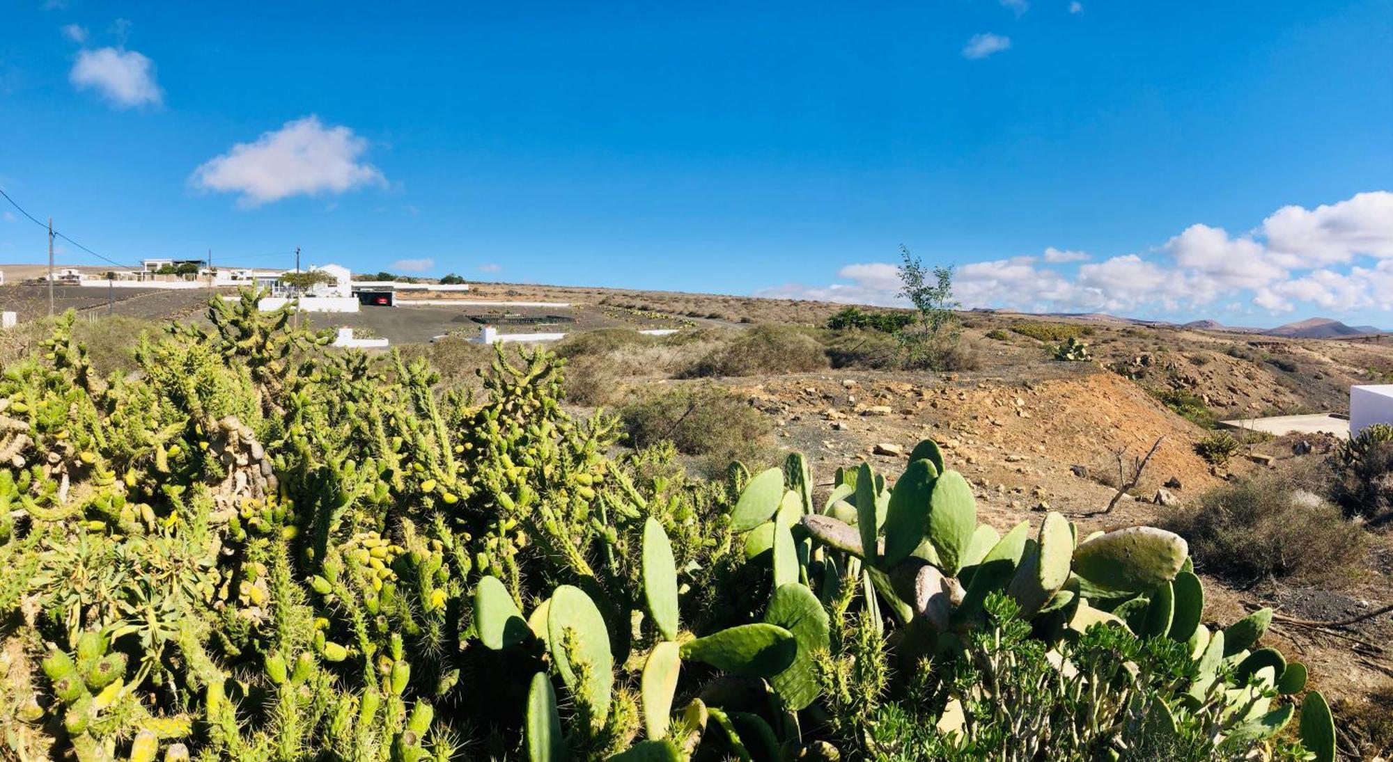 Apartamento Alegranza In The Beautiful Village Of Mozaga, Lanzarote *