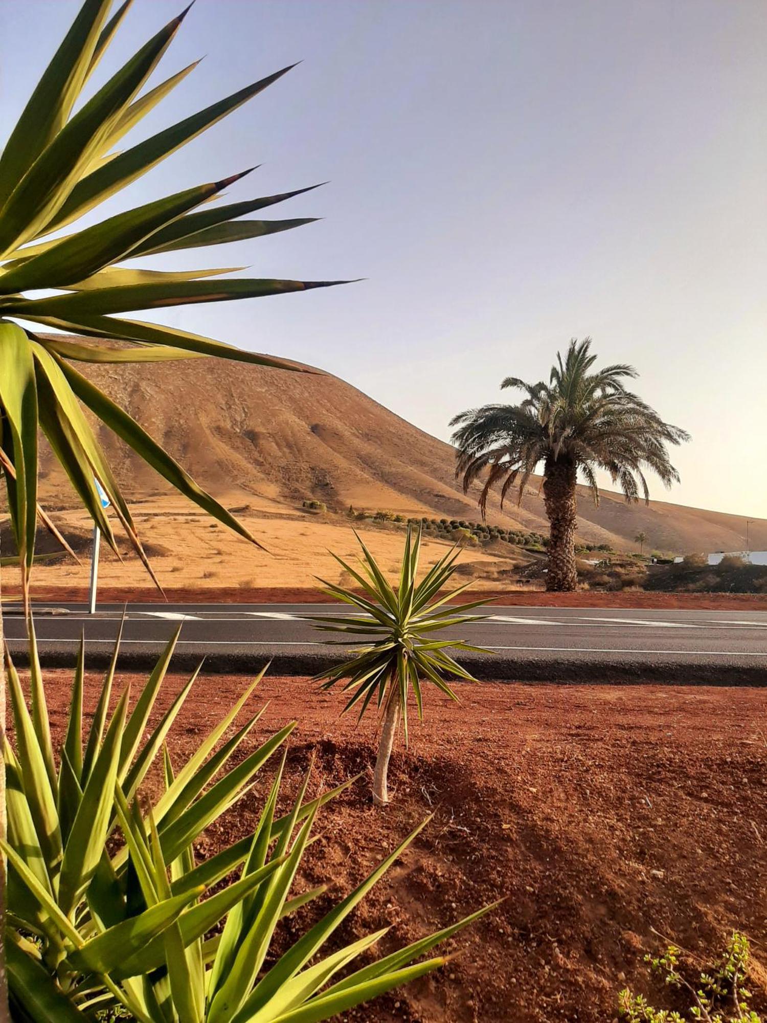 Apartamento Costa Tegusie Súper Confort!!! Teguise (Lanzarote)
