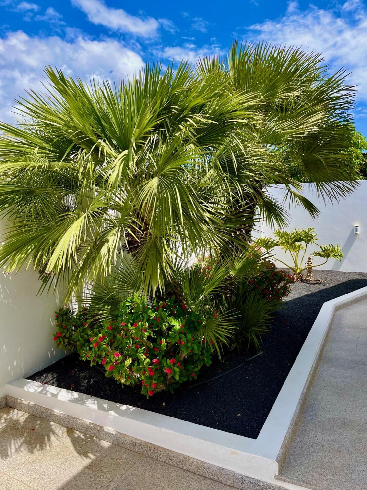 Villa Del Mar Lanzarote - Luxury Beachhouse *