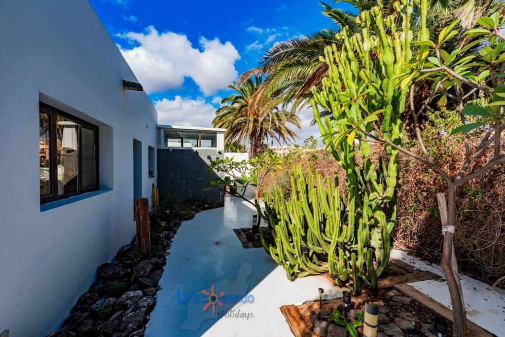 Casa Lola Adults Only Costa Teguise