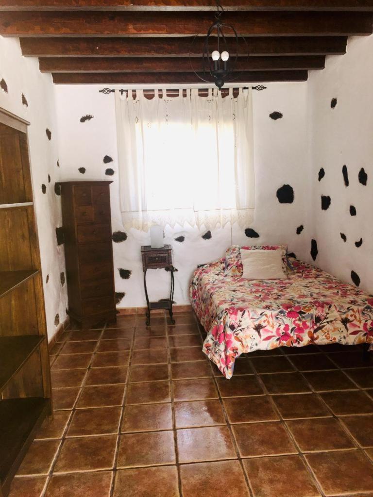 Lanzarote Casa Volcanica-anclada Sobre La Lava Del Volcan Villa *