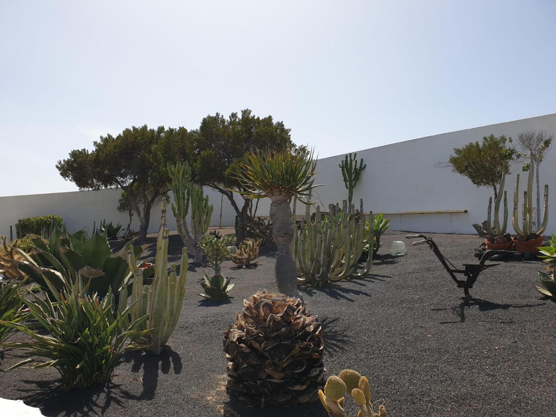 Casa Berriel 2