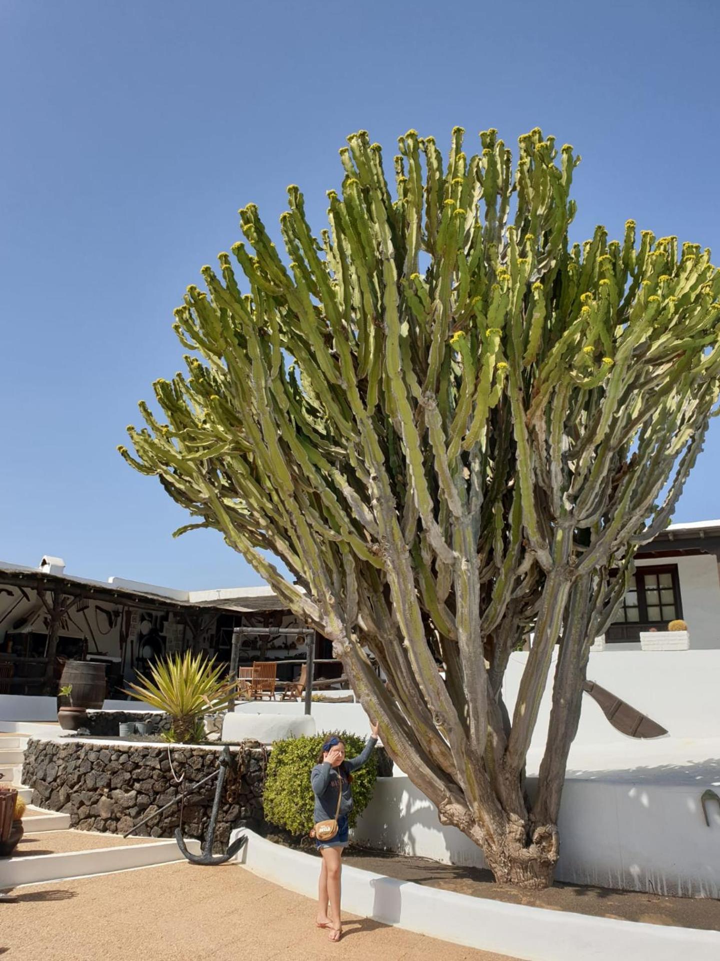 Casa Berriel 2 Holiday home
