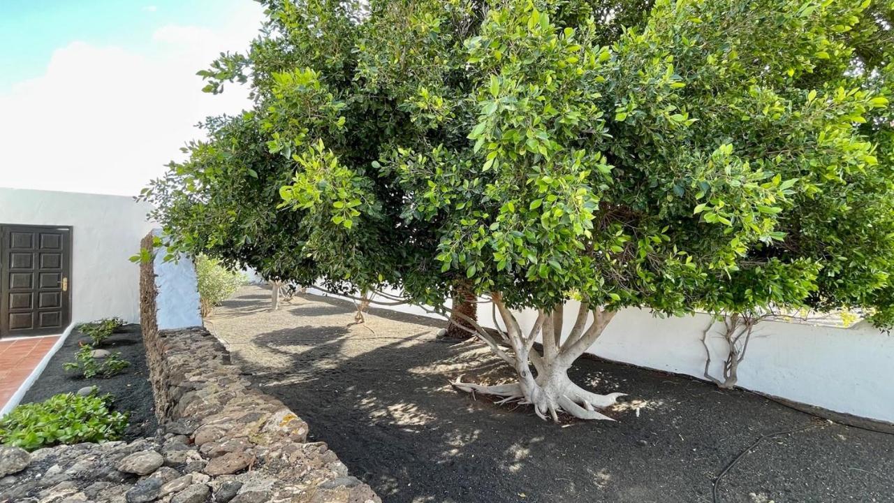 Estefania Playa Blanca (Lanzarote)