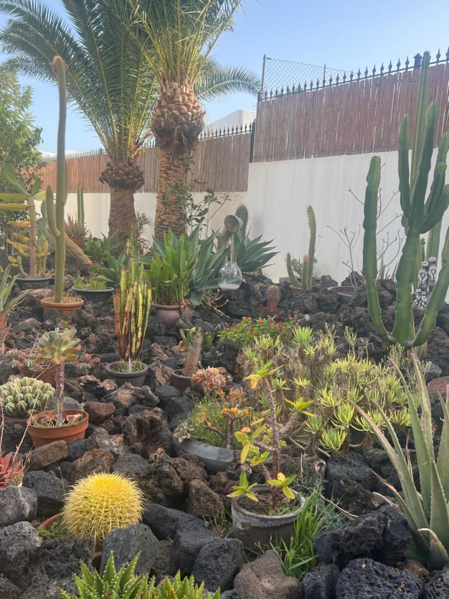 Apartamento Acuario Sol *