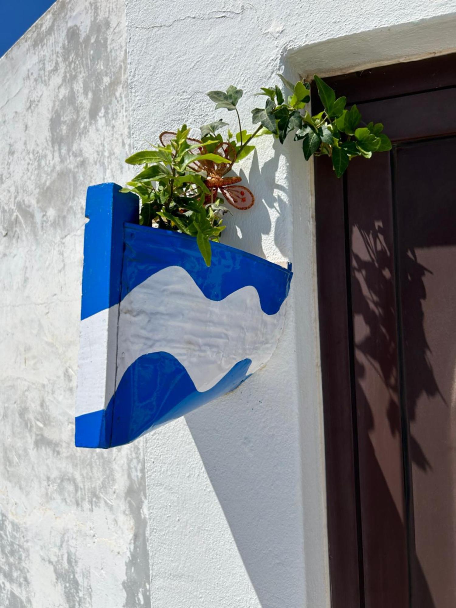 La Buganvilla * Arrecife (Lanzarote)