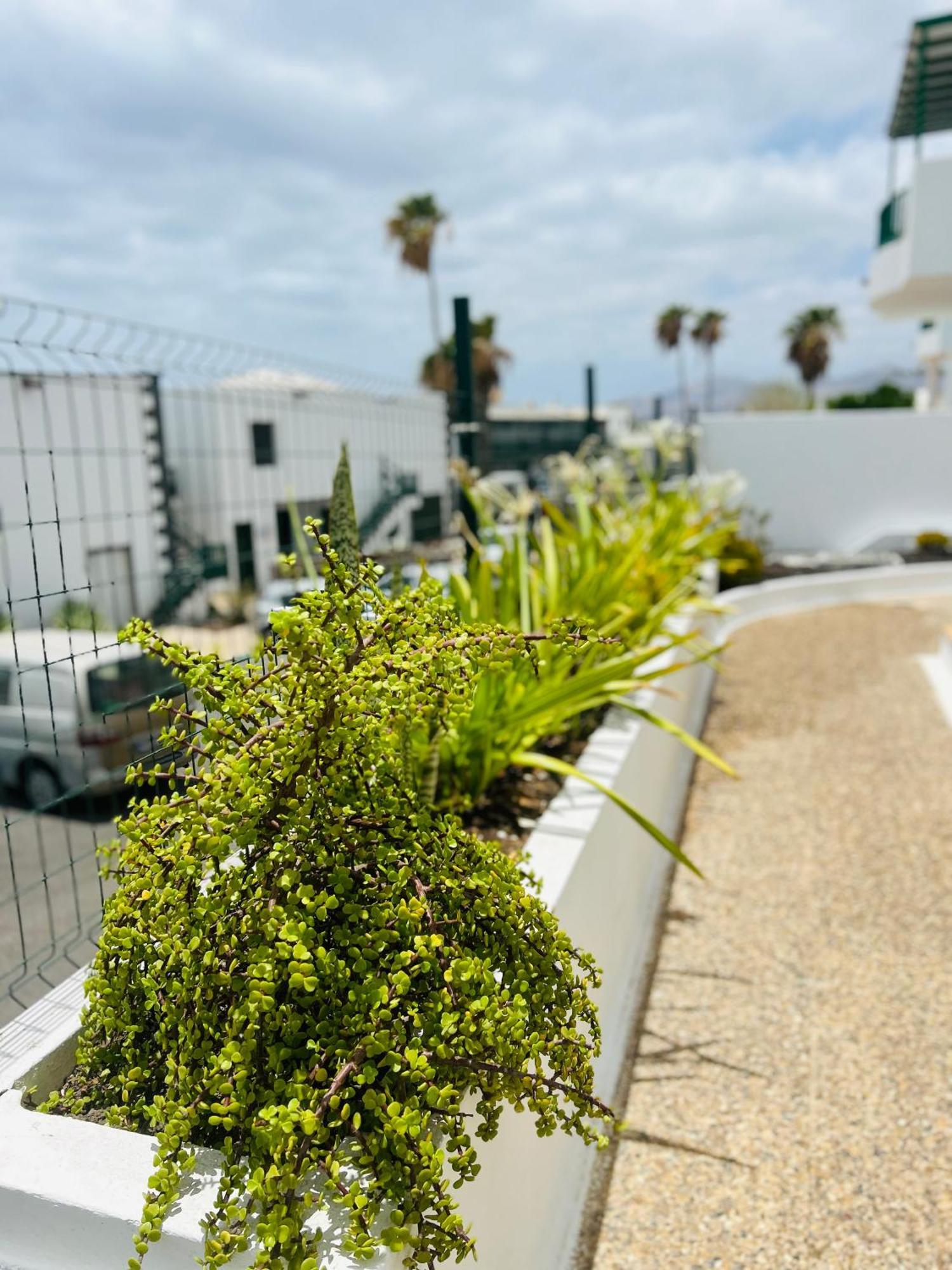-montorian -lanzarote Apartment *