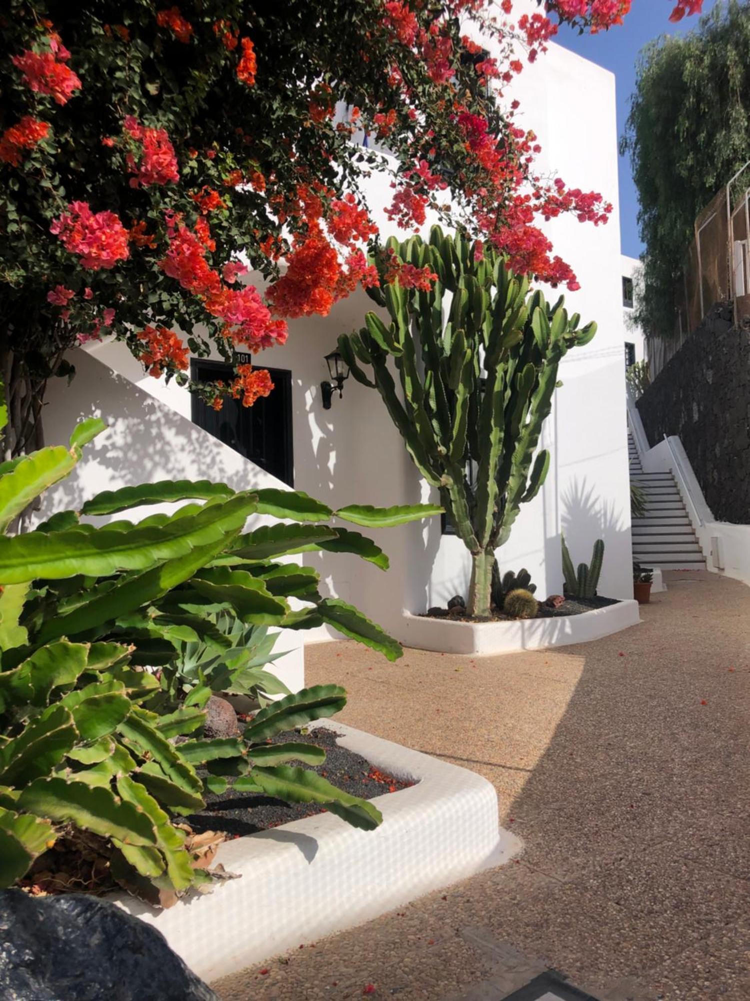 Apartamento The Blue Dragon By The Port Puerto del Carmen (Lanzarote)