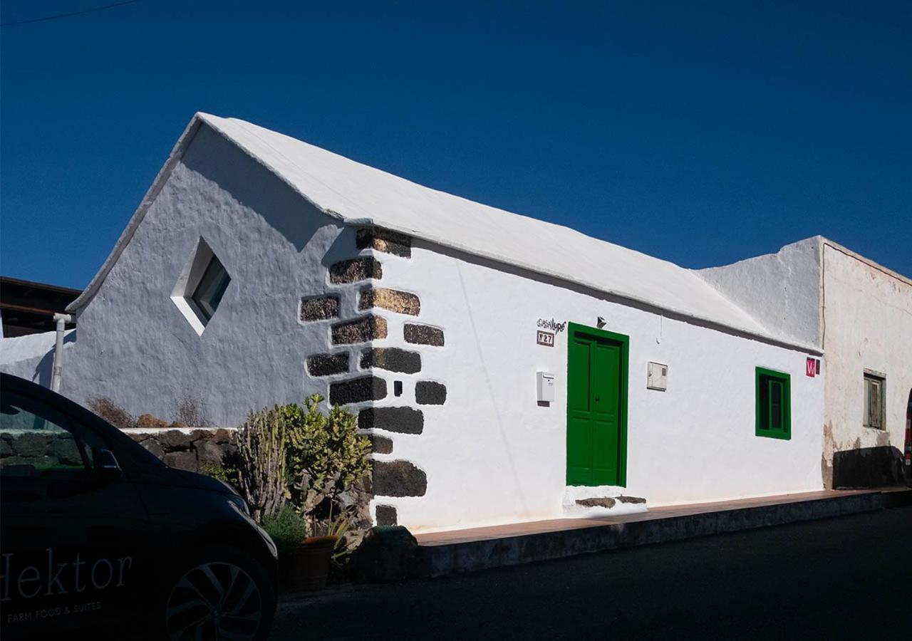 Casa Lupe. Art-inspired Courtyard House In *
