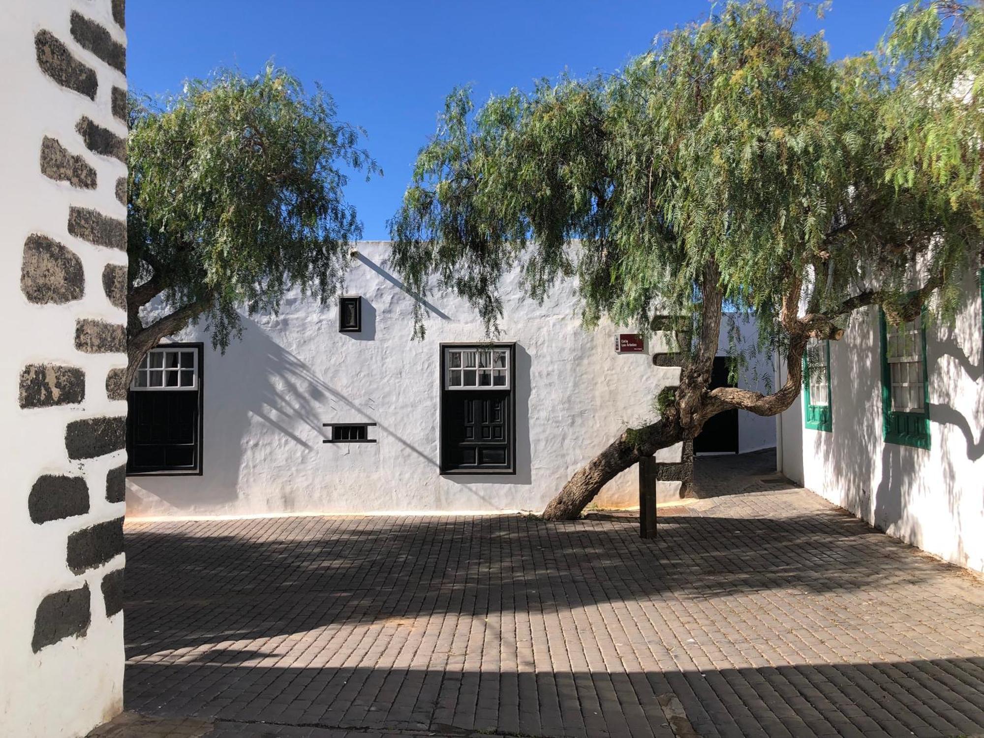 Casa Lupe. Art-inspired Courtyard House In Сasa de vacaciones *