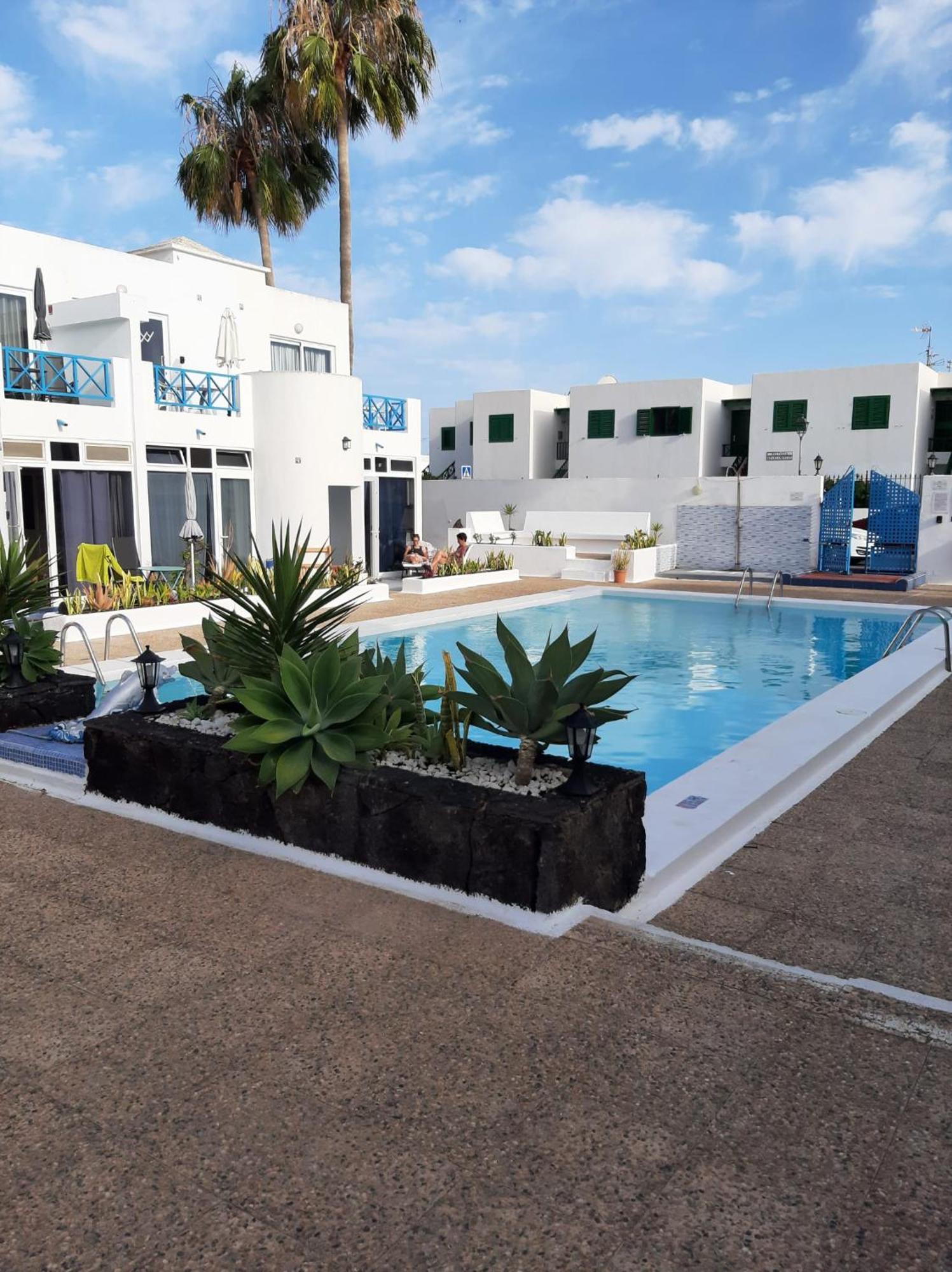 Estudio Delfines 4 *