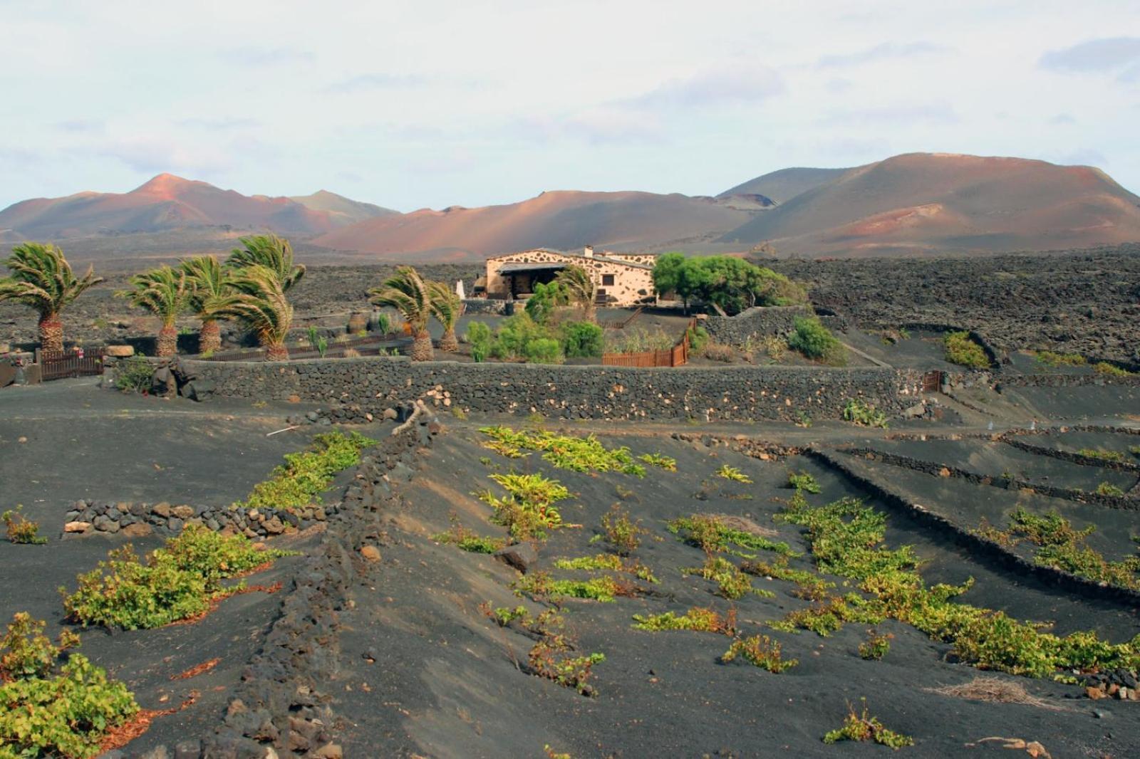 Vega De Timanfaya * Uga
