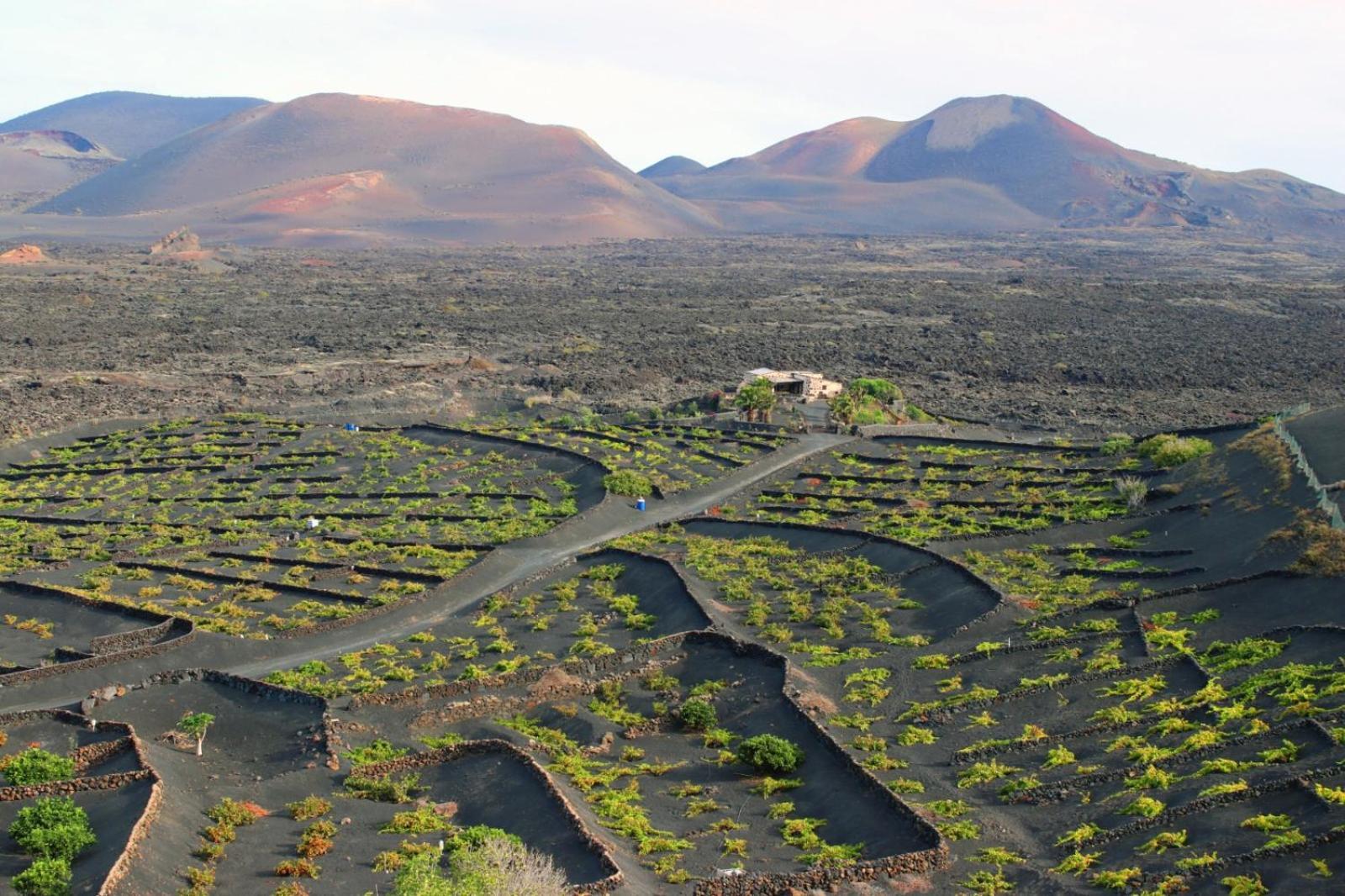 Сasa de vacaciones Vega De Timanfaya