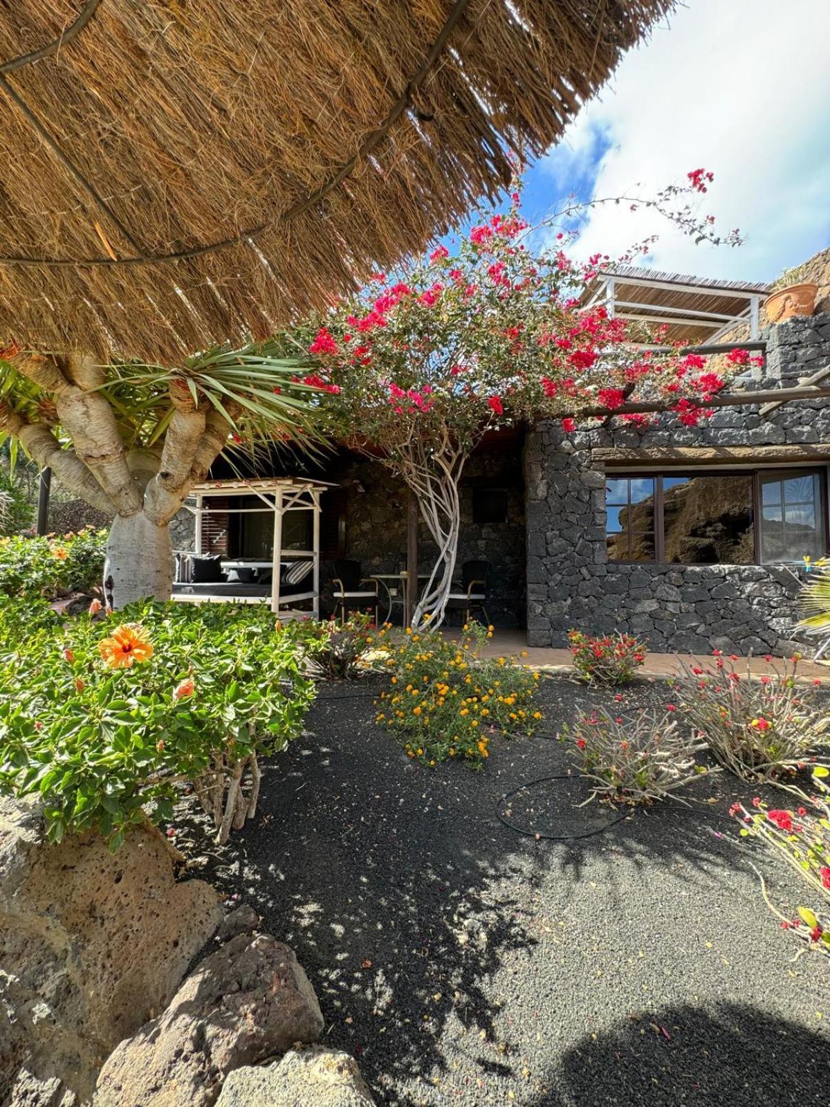 Holiday home Castillo Lanzarote Bailey - Luxury - Pet Friendly With Heated Pool *