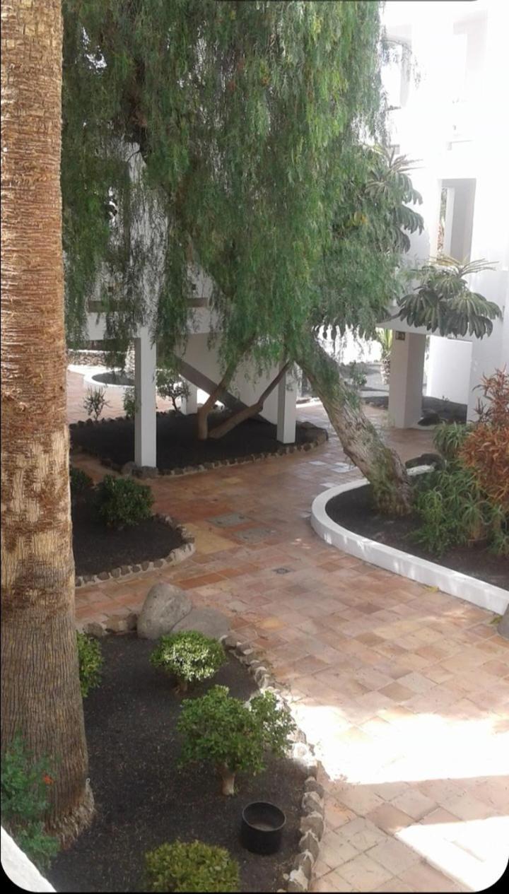 Molinos. Miramar Apartment