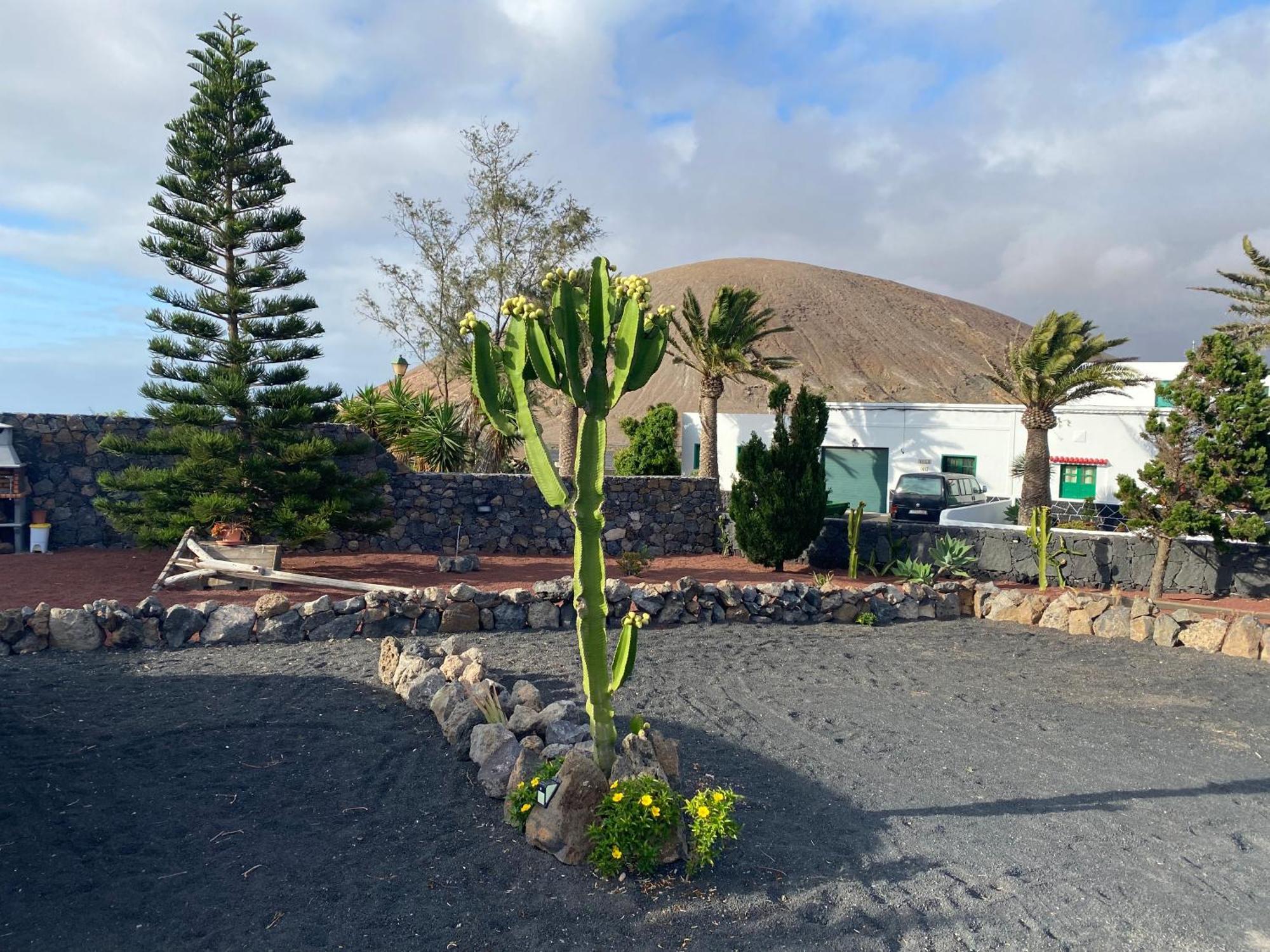 Casa Valeria Holiday home Tinajo