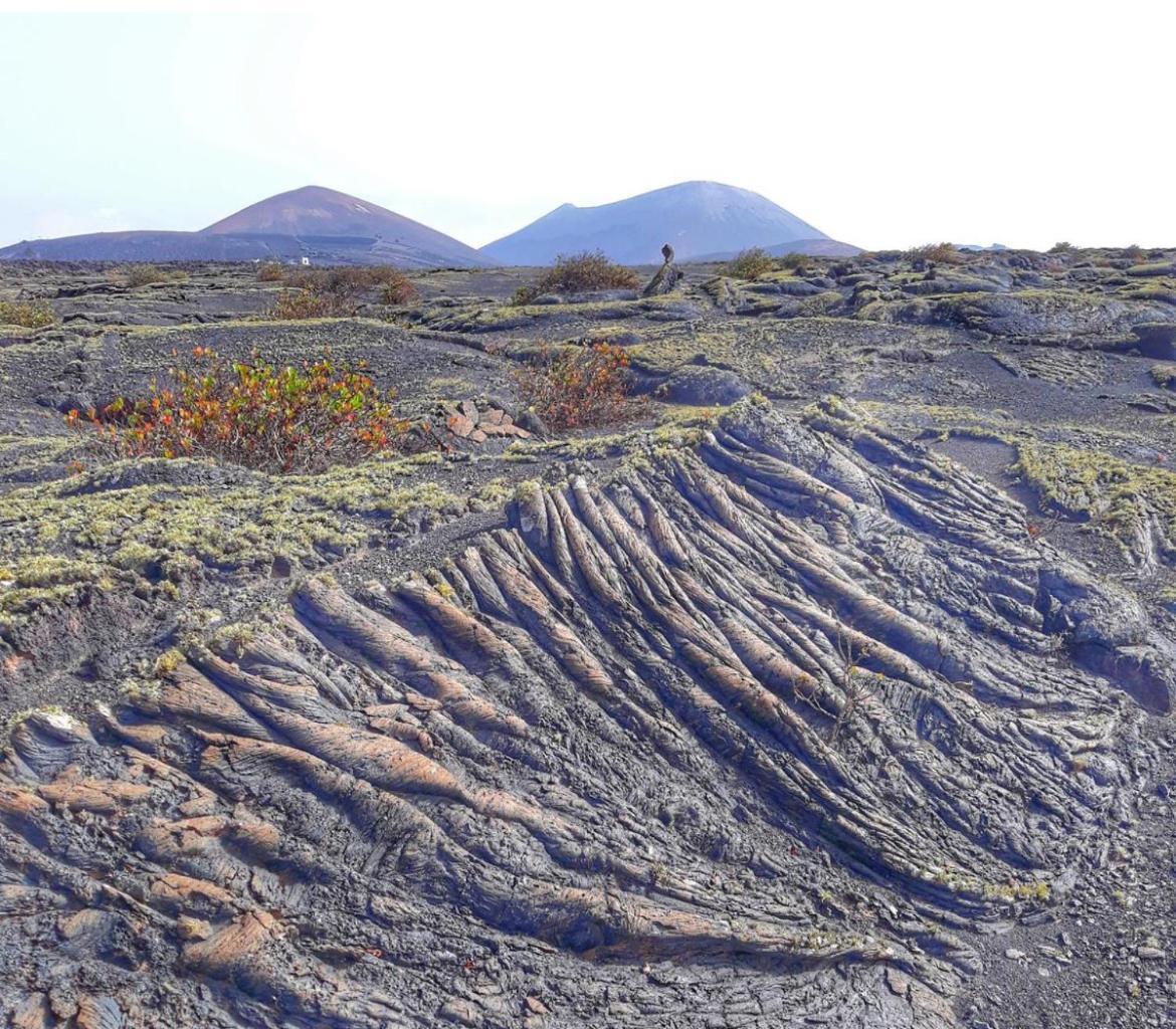 Lanzarote Casa Volcanica-anclada Sobre La Lava Del Volcan