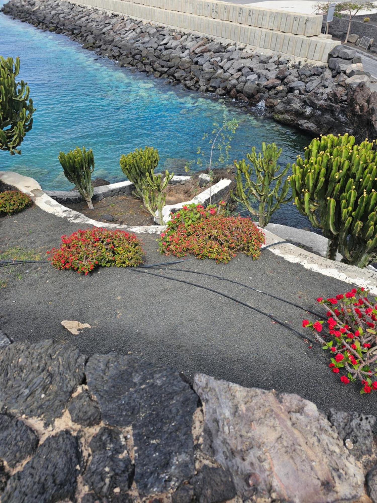 Lanzarote Harbour View *