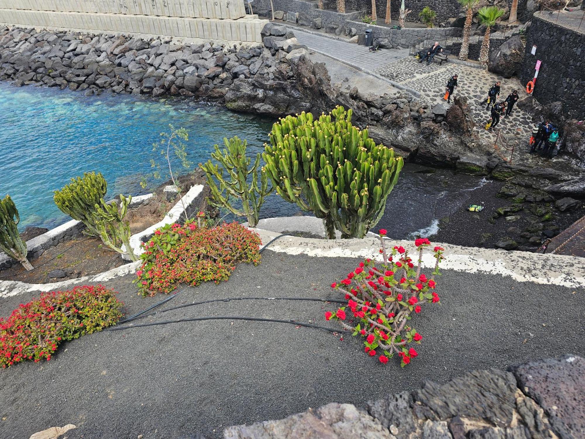 Lanzarote Harbour View Apartamento