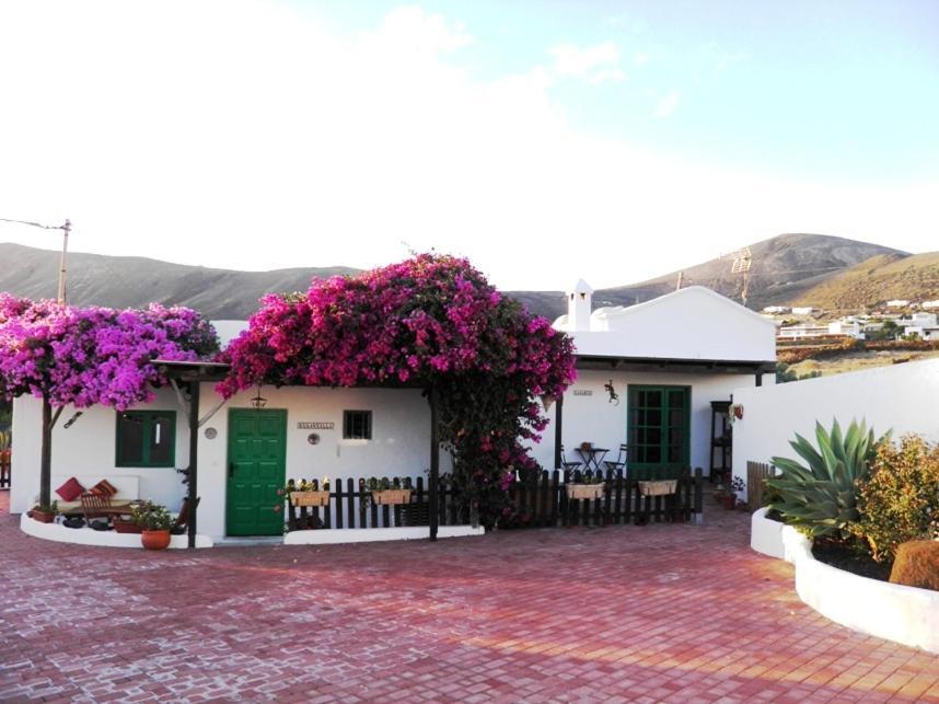 El Lagarto Apartment Macher
