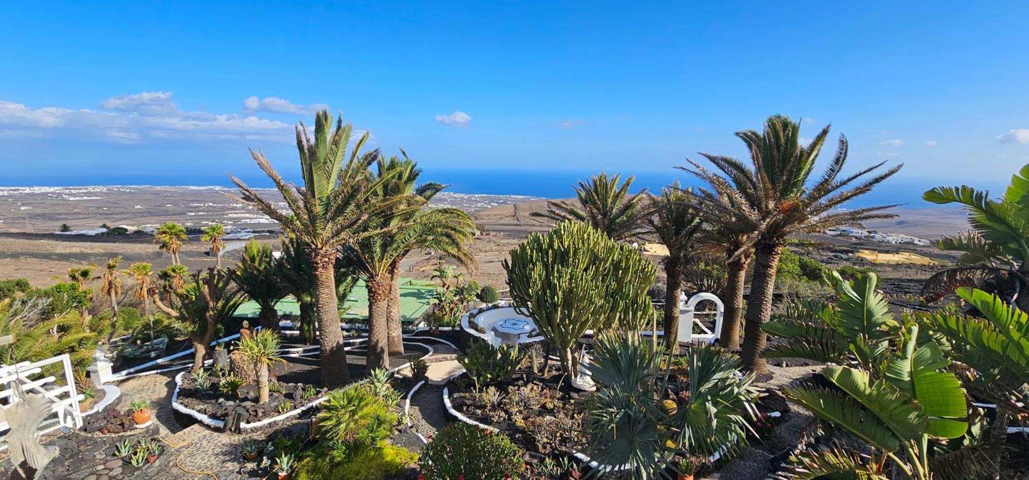 La Ranita Uno Parnas * La Asomada (Lanzarote)