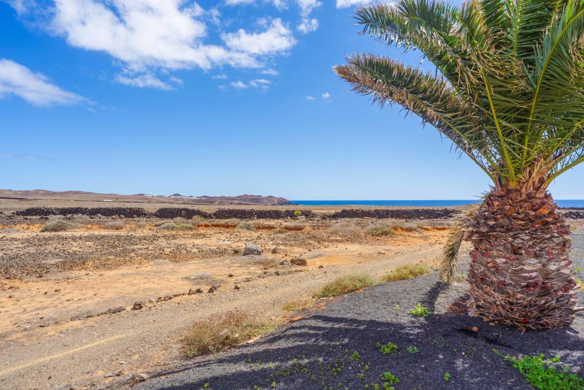 Lanzabur Villa Teguise (Lanzarote)