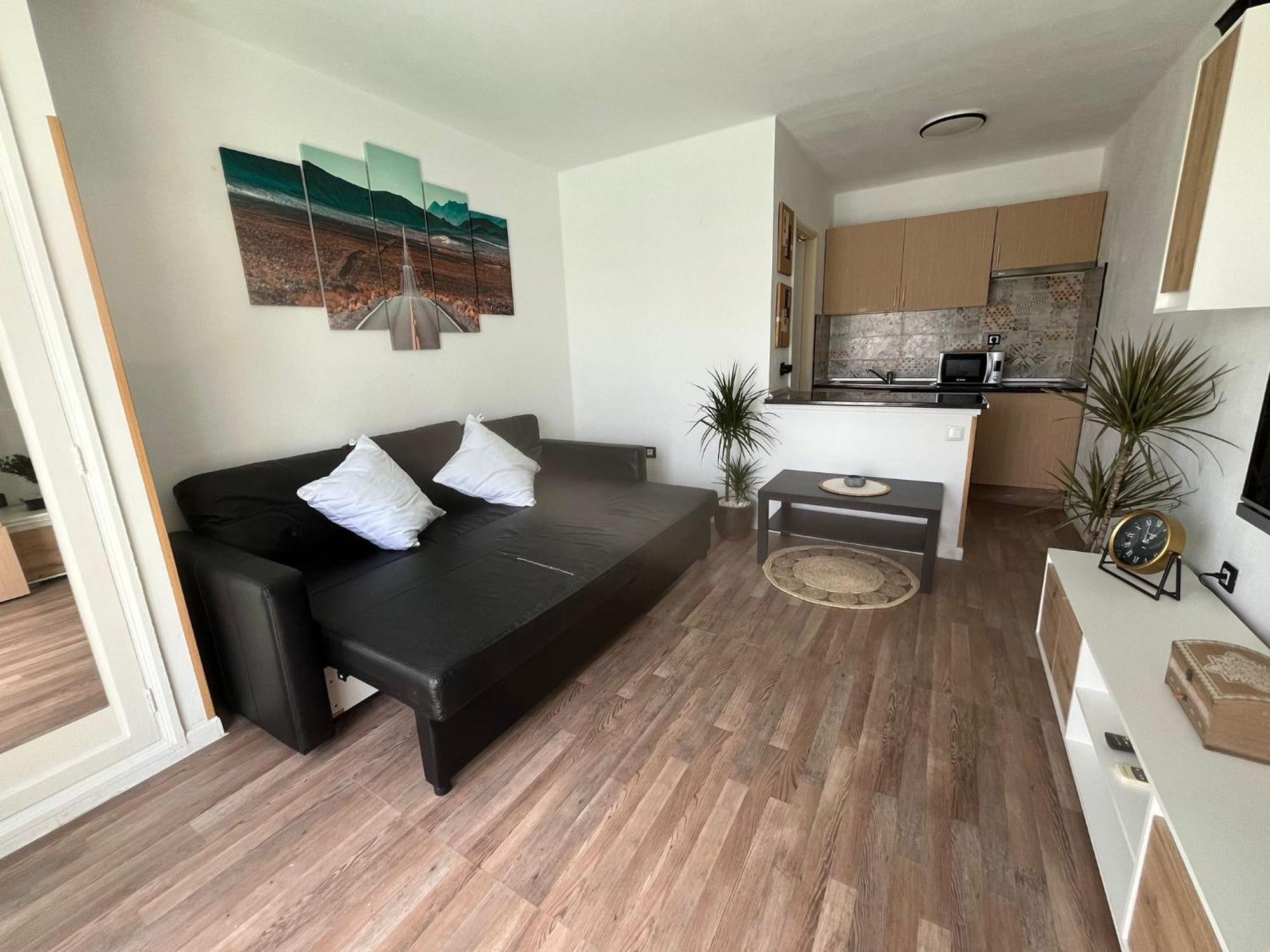 Apartment Estudio Delfines 4