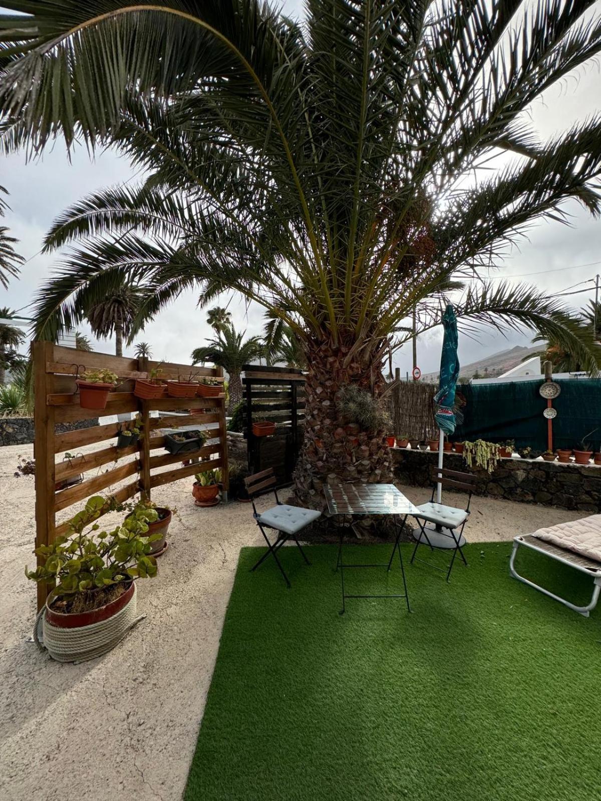 Casa Palmera Y Casa Dátil Haría