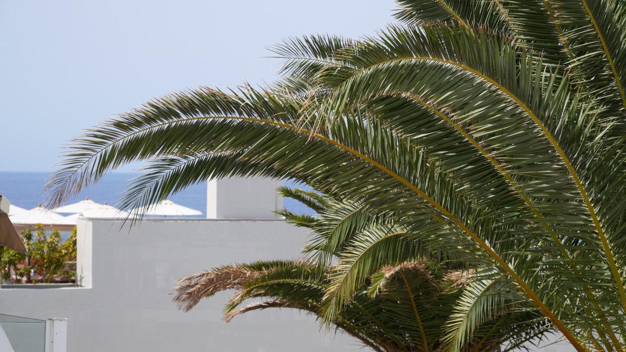 Adriana House 50 Metros Al Mar Apartment *
