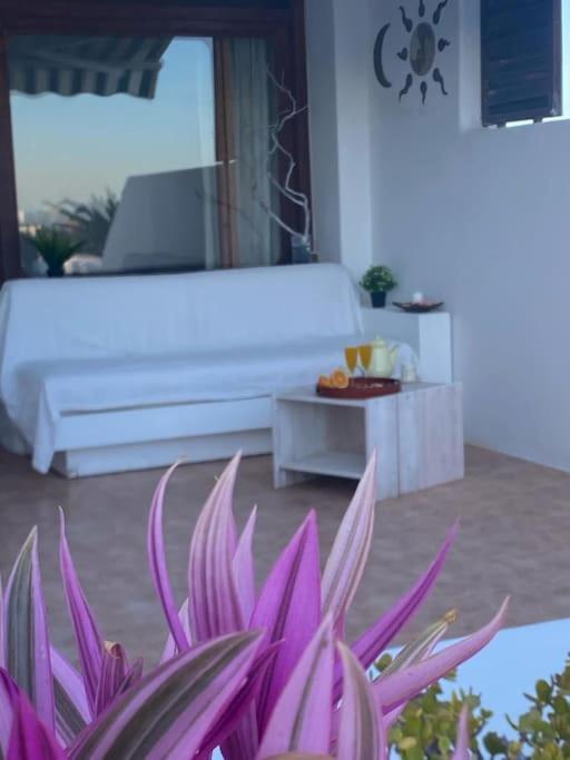 Apartment Terrazas *