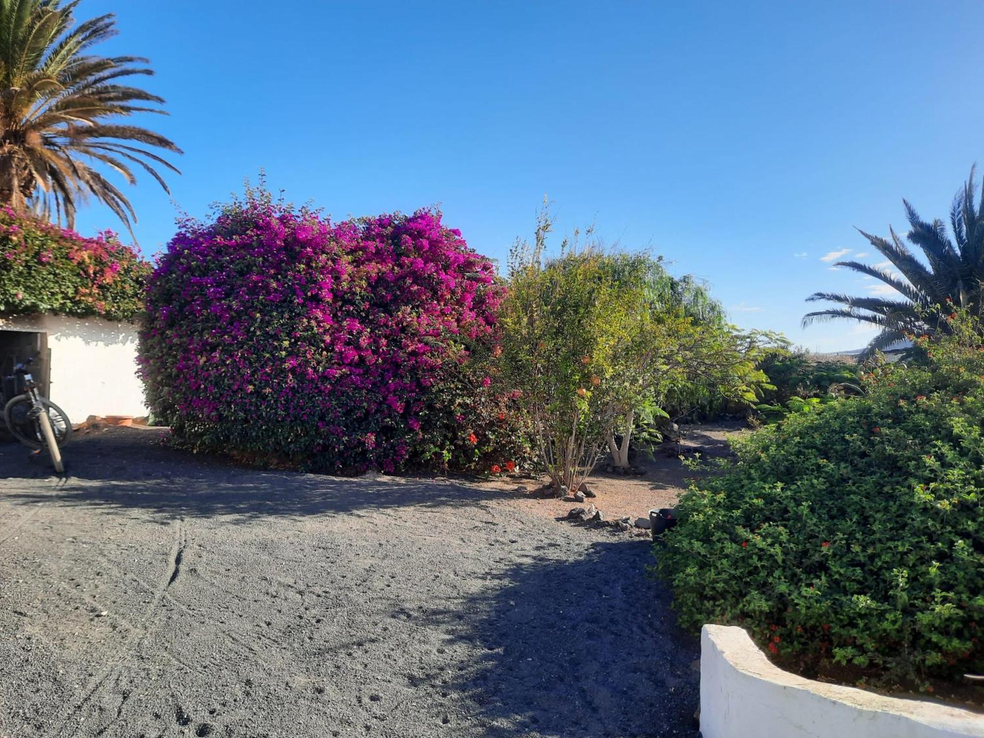 Сasa de vacaciones Casa De Gato Rustic