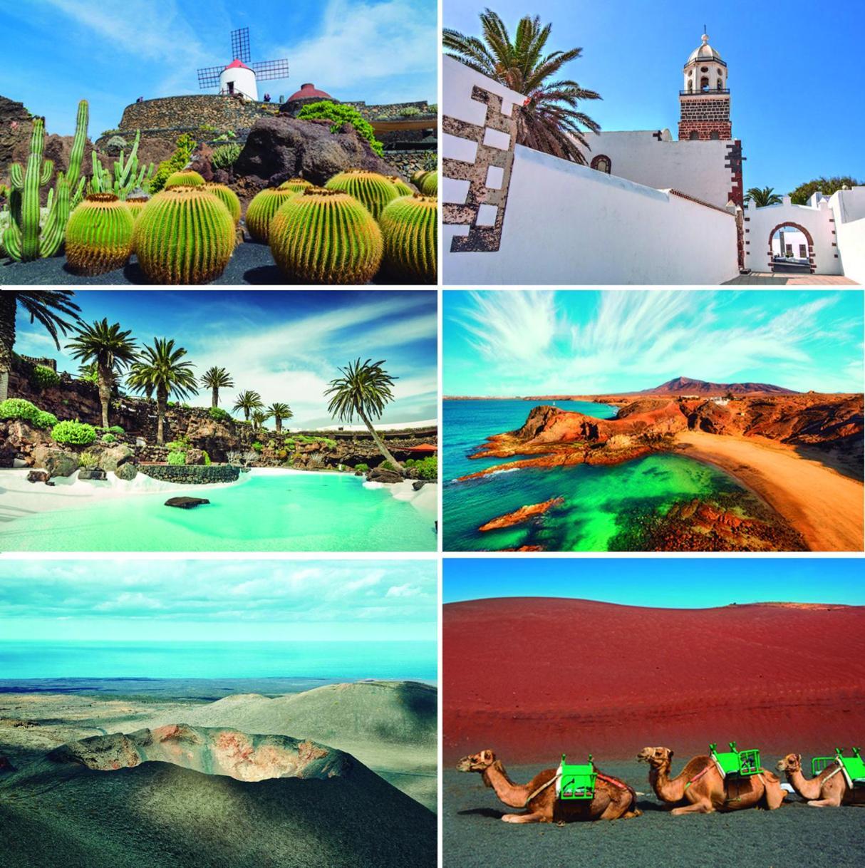 Apartamento Volcan De Sal Teguise (Lanzarote)