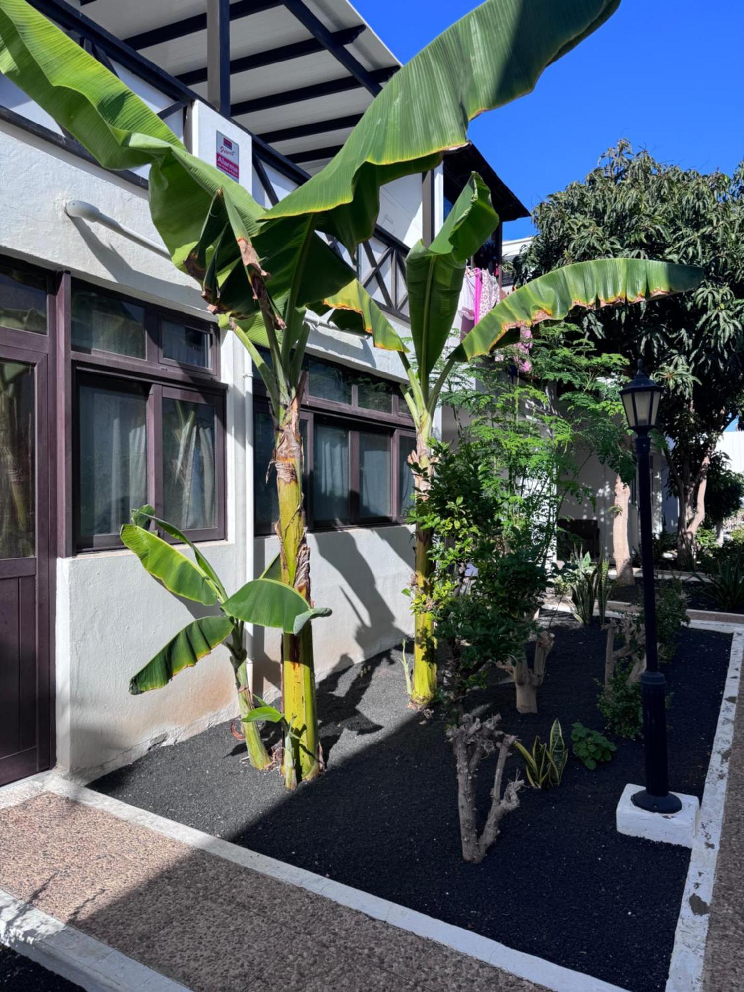 Apartment Casa Ana Puerto Del Carmen