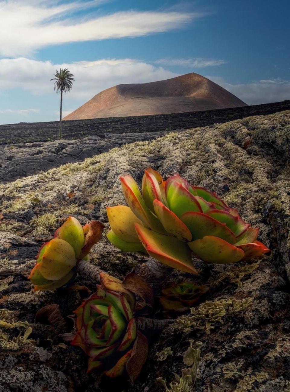 Villa Lanzarote Casa Volcanica-anclada Sobre La Lava Del Volcan Montana Blanca