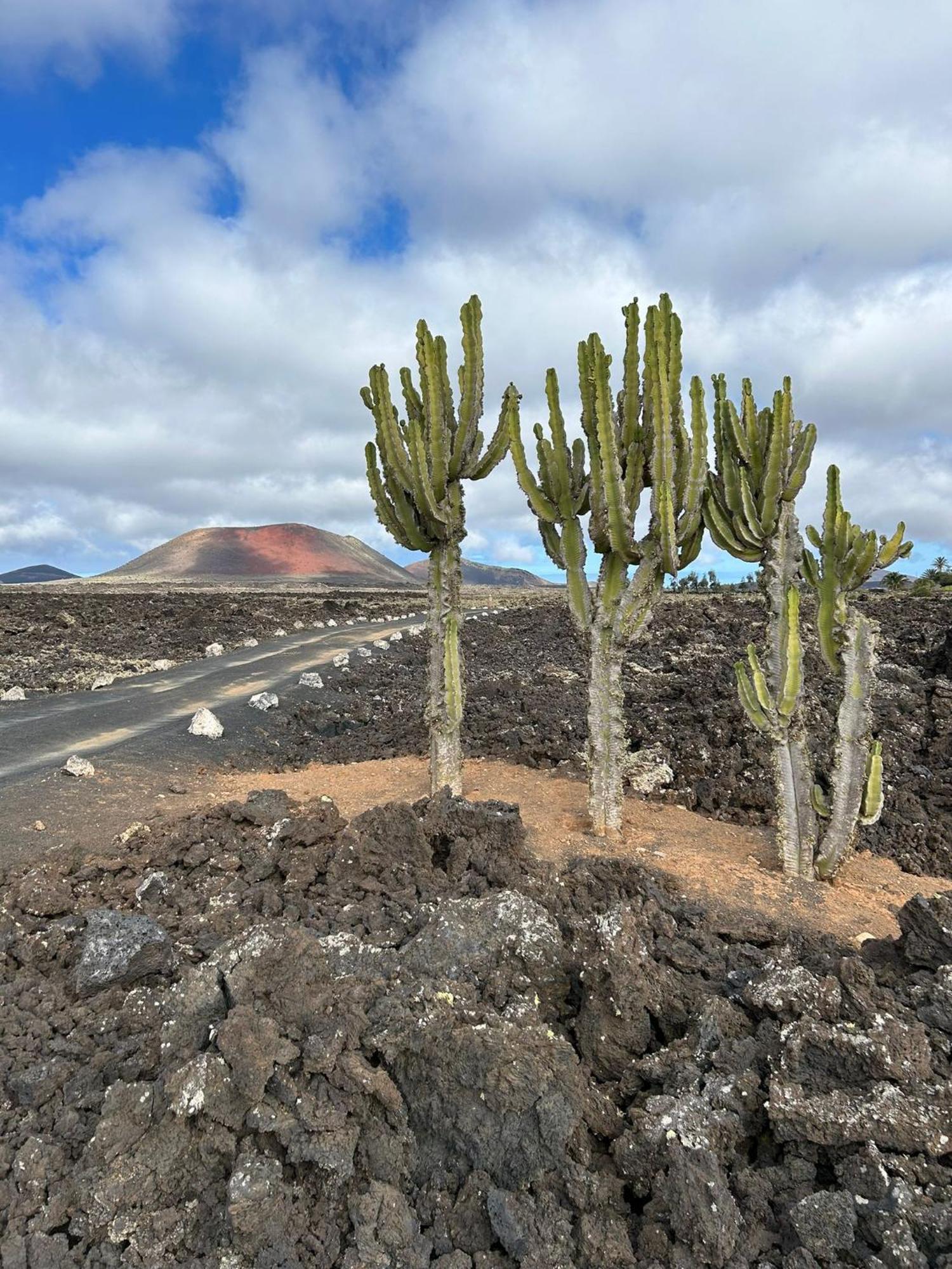 Nopasanada Tu Casa En Lanzarote Guest house