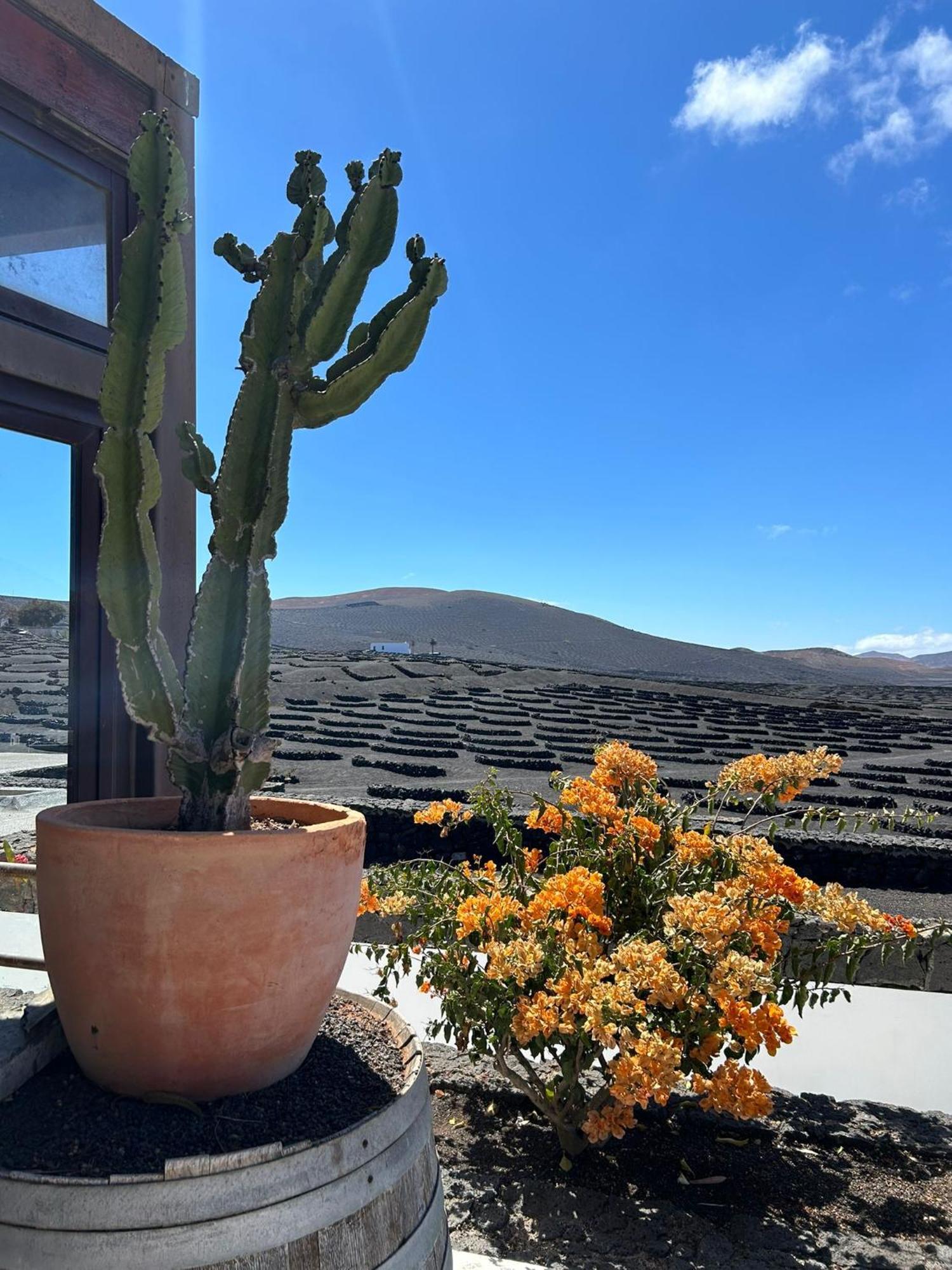 Nopasanada Tu Casa En Lanzarote Guest house El Cuchillo