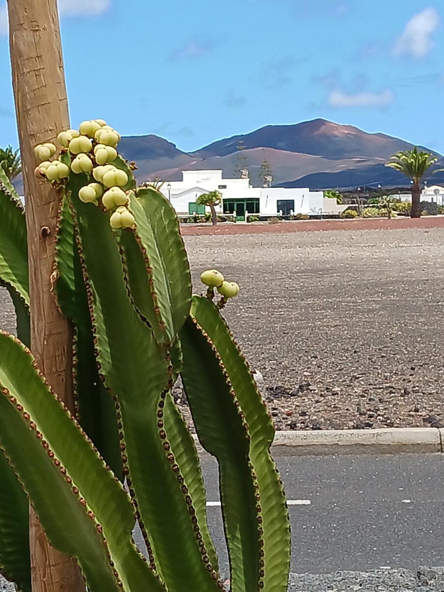 Casa Volcanes Holiday home *