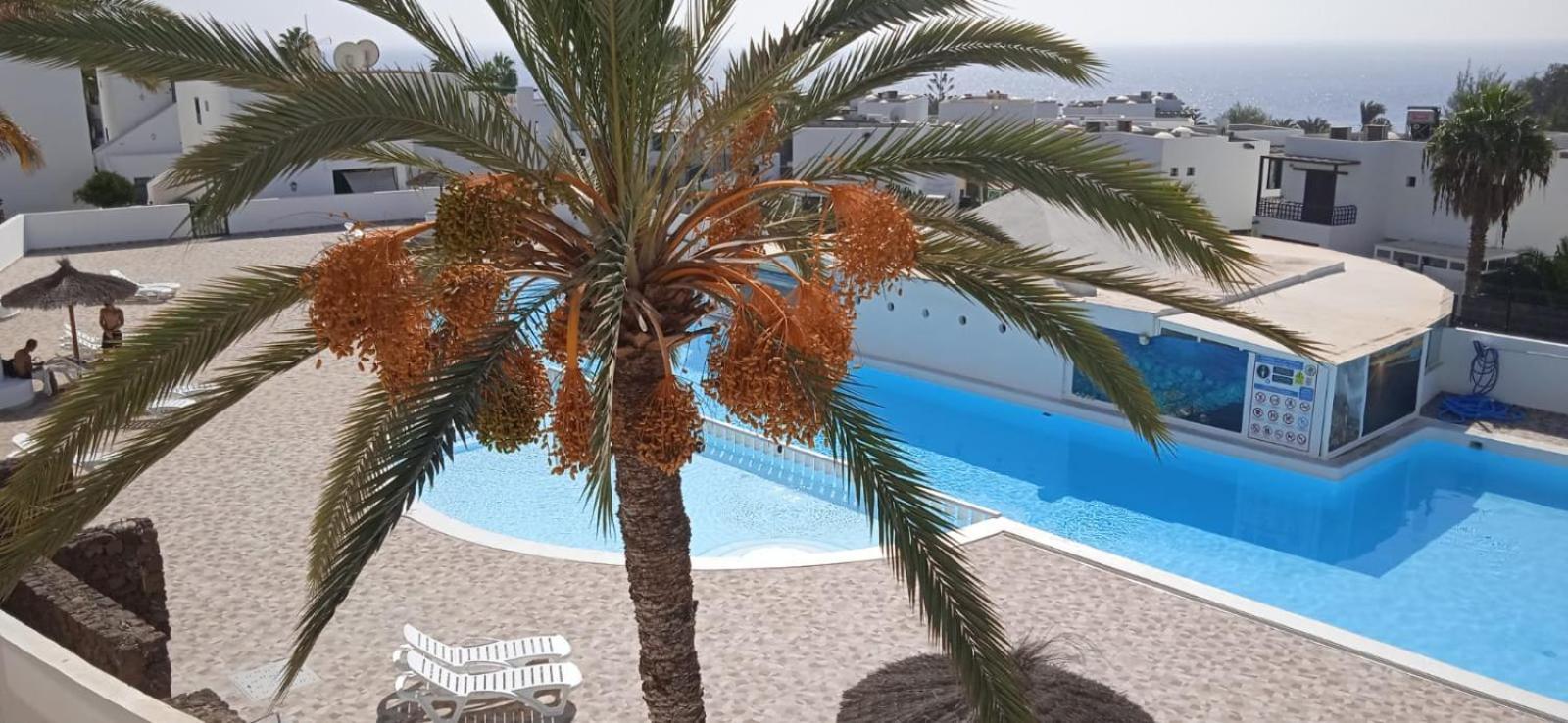 Aparthotel Blue View Hermoso Remodelado Ubicacion Ideal *